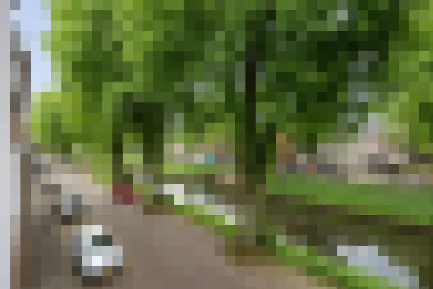 van Berckelstraat 5 's-Hertogenbosch thumbnail 44