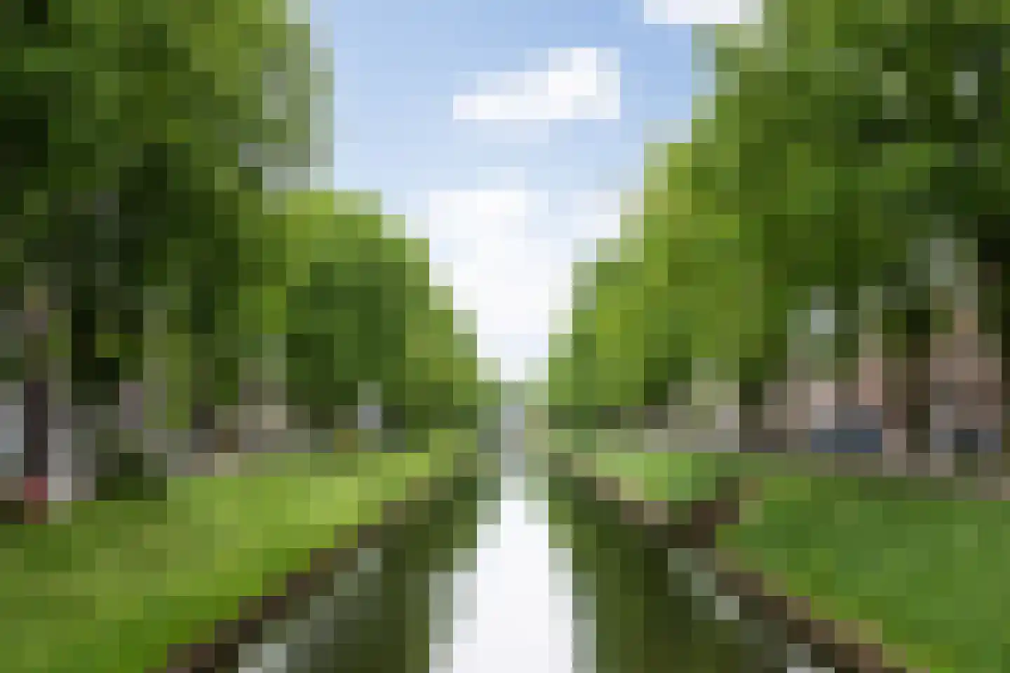 van Berckelstraat 5 's-Hertogenbosch thumbnail 5