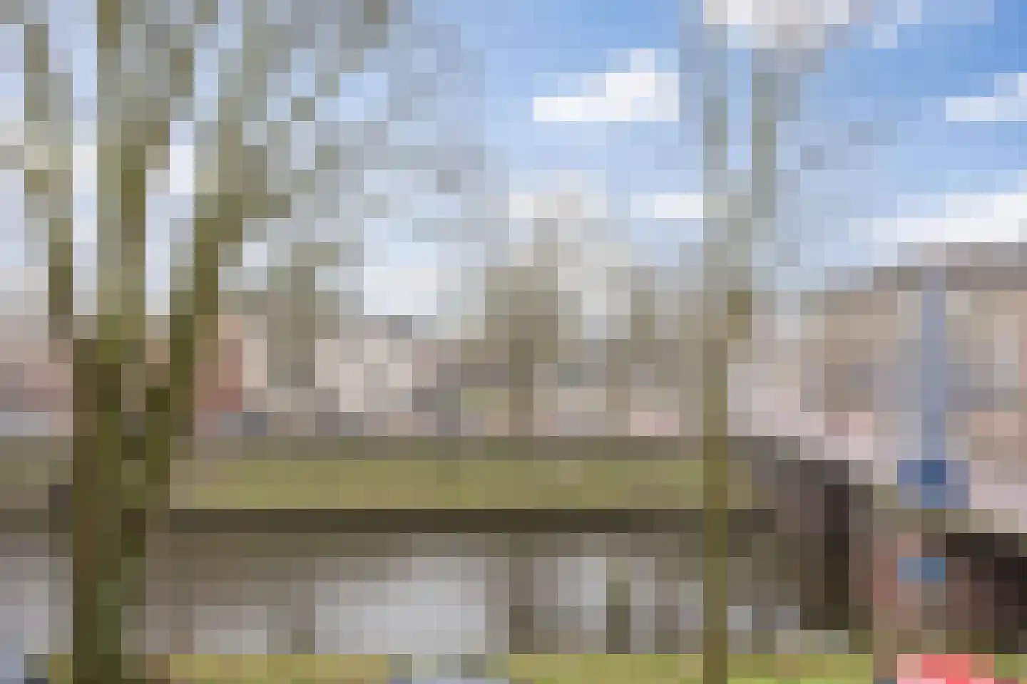 van Berckelstraat 5 's-Hertogenbosch thumbnail 6