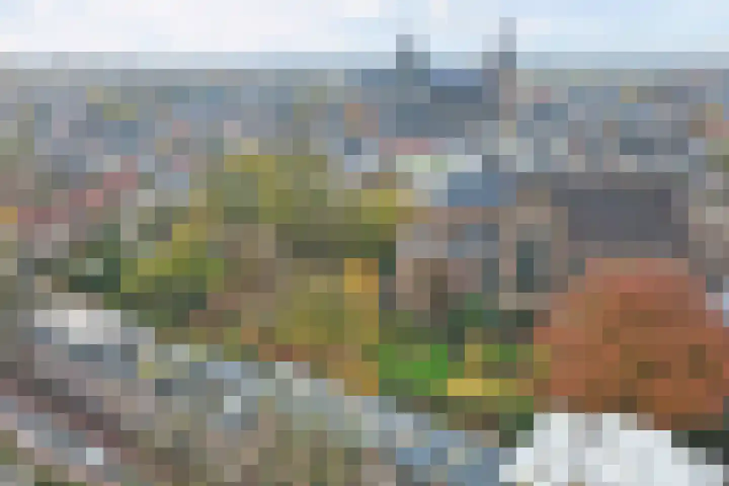 van Berckelstraat 50 's-Hertogenbosch thumbnail 31