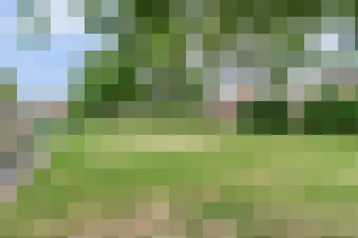 van Berckenrodelaan 19 Waalwijk thumbnail 30