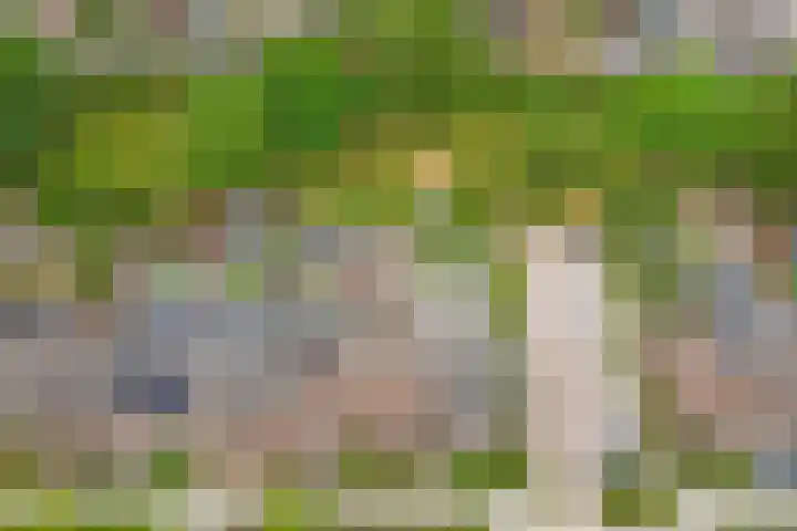 van Berckenrodelaan 19 Waalwijk thumbnail 31