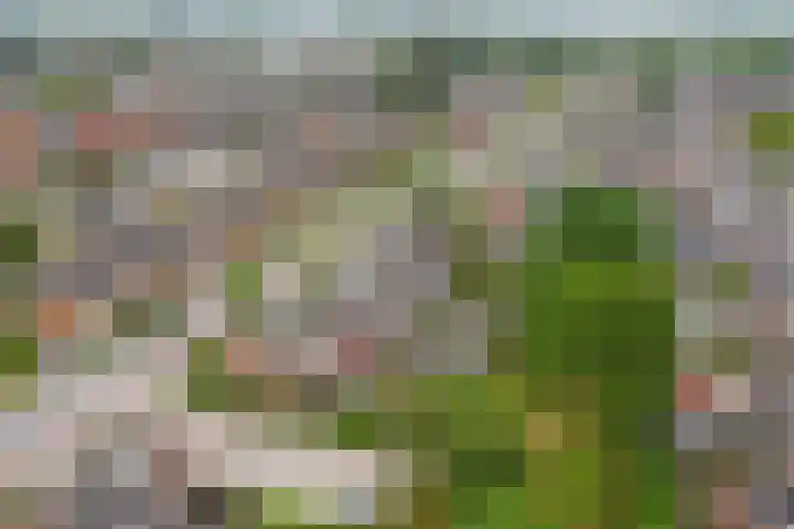 van Berckenrodelaan 19 Waalwijk thumbnail 32