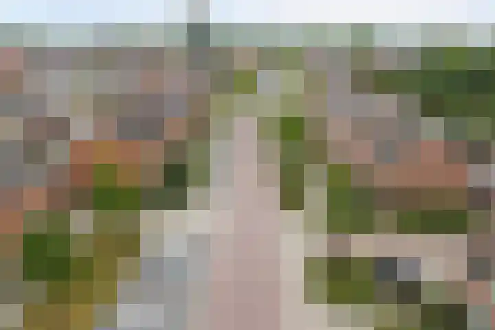 van Berckenrodelaan 19 Waalwijk thumbnail 33