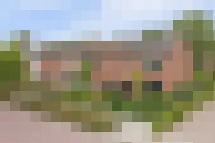 van Berckenrodelaan 19 Waalwijk thumbnail 36