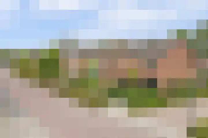 van Berckenrodelaan 19 Waalwijk thumbnail 37