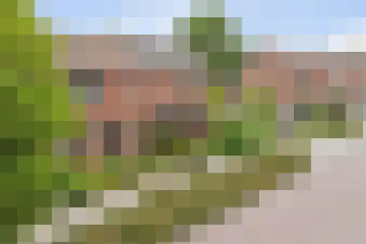 van Berckenrodelaan 19 Waalwijk thumbnail 38
