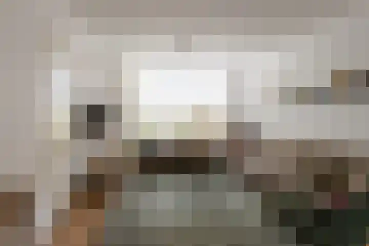 van Berckenrodelaan 22 Waalwijk thumbnail 12