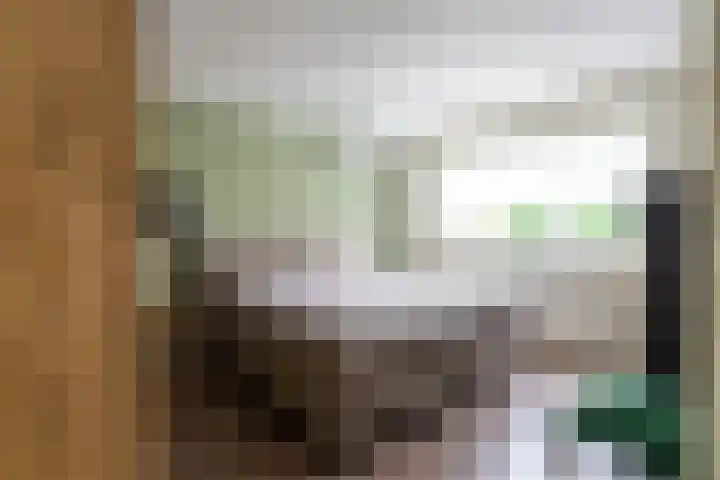 van Berckenrodelaan 22 Waalwijk thumbnail 19