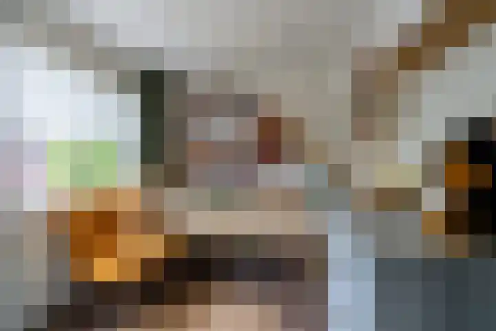 van Berckenrodelaan 22 Waalwijk thumbnail 21