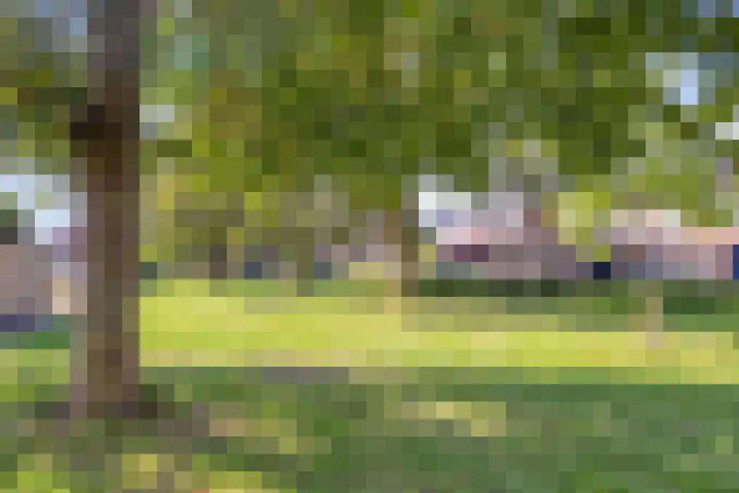 van Berckenrodelaan 26 Waalwijk thumbnail 32