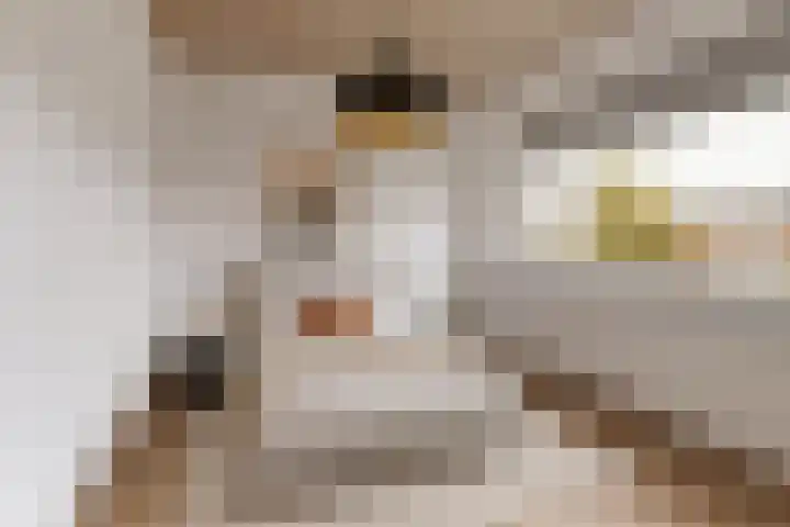 van Berckenrodelaan 37 Waalwijk thumbnail 22