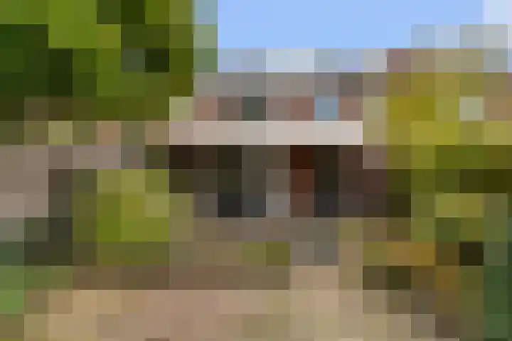 van Berckenrodelaan 37 Waalwijk thumbnail 35