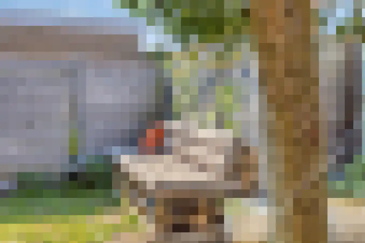 van Berckenrodelaan 4 Waalwijk thumbnail 26