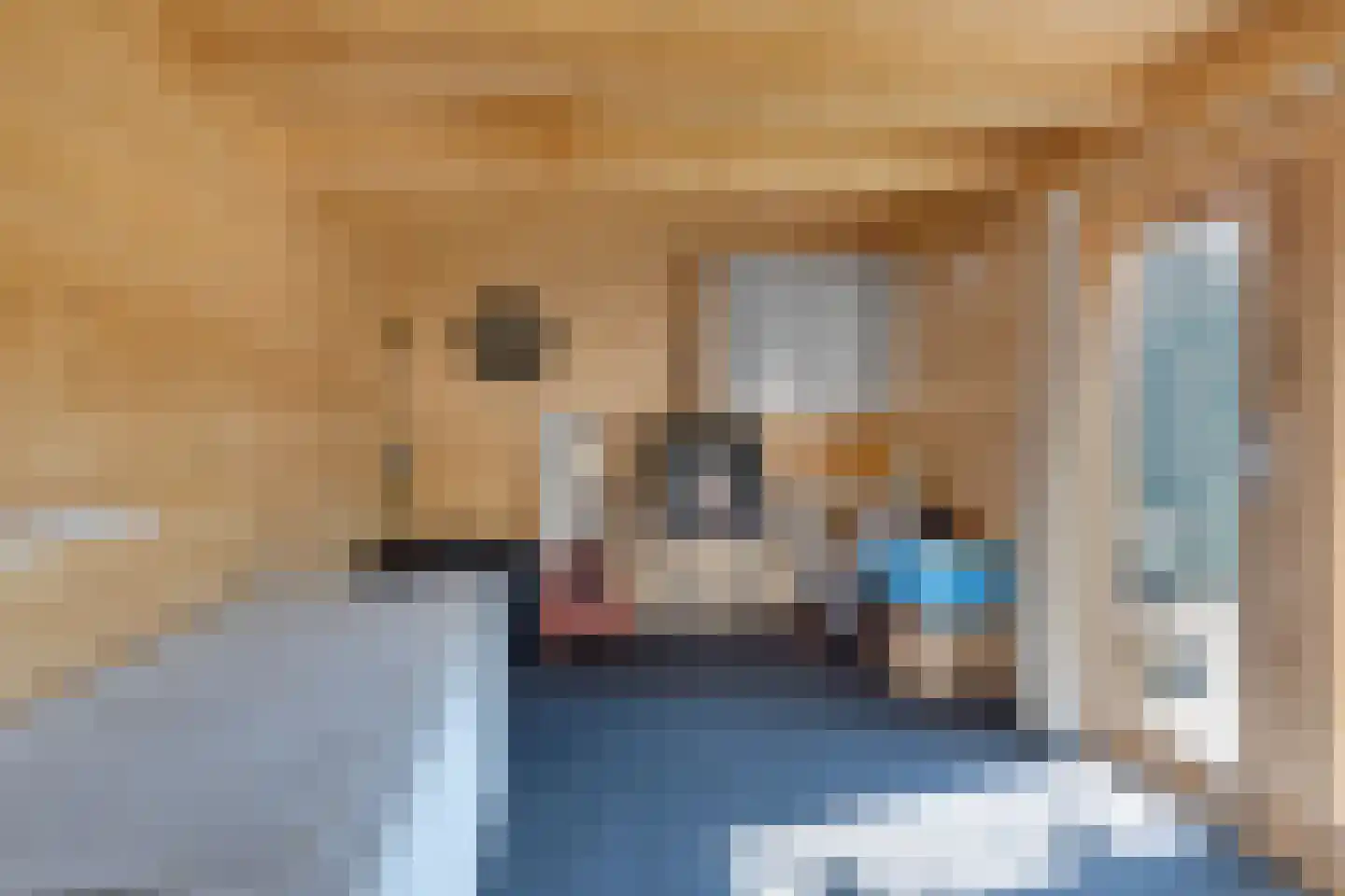 van Berckenrodelaan 4 Waalwijk thumbnail 30