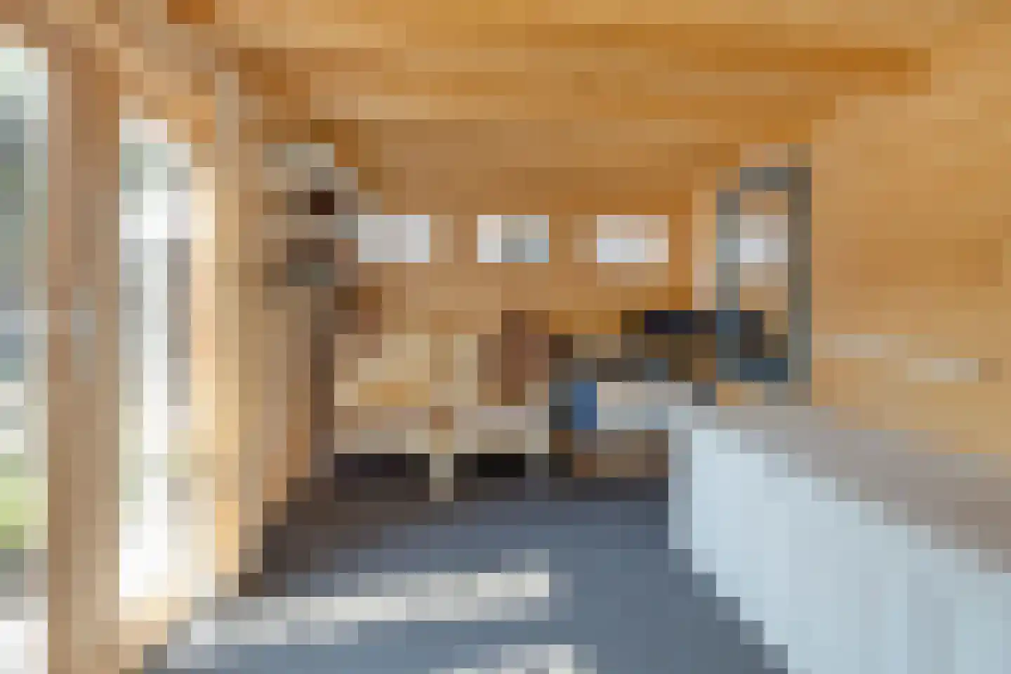 van Berckenrodelaan 4 Waalwijk thumbnail 31