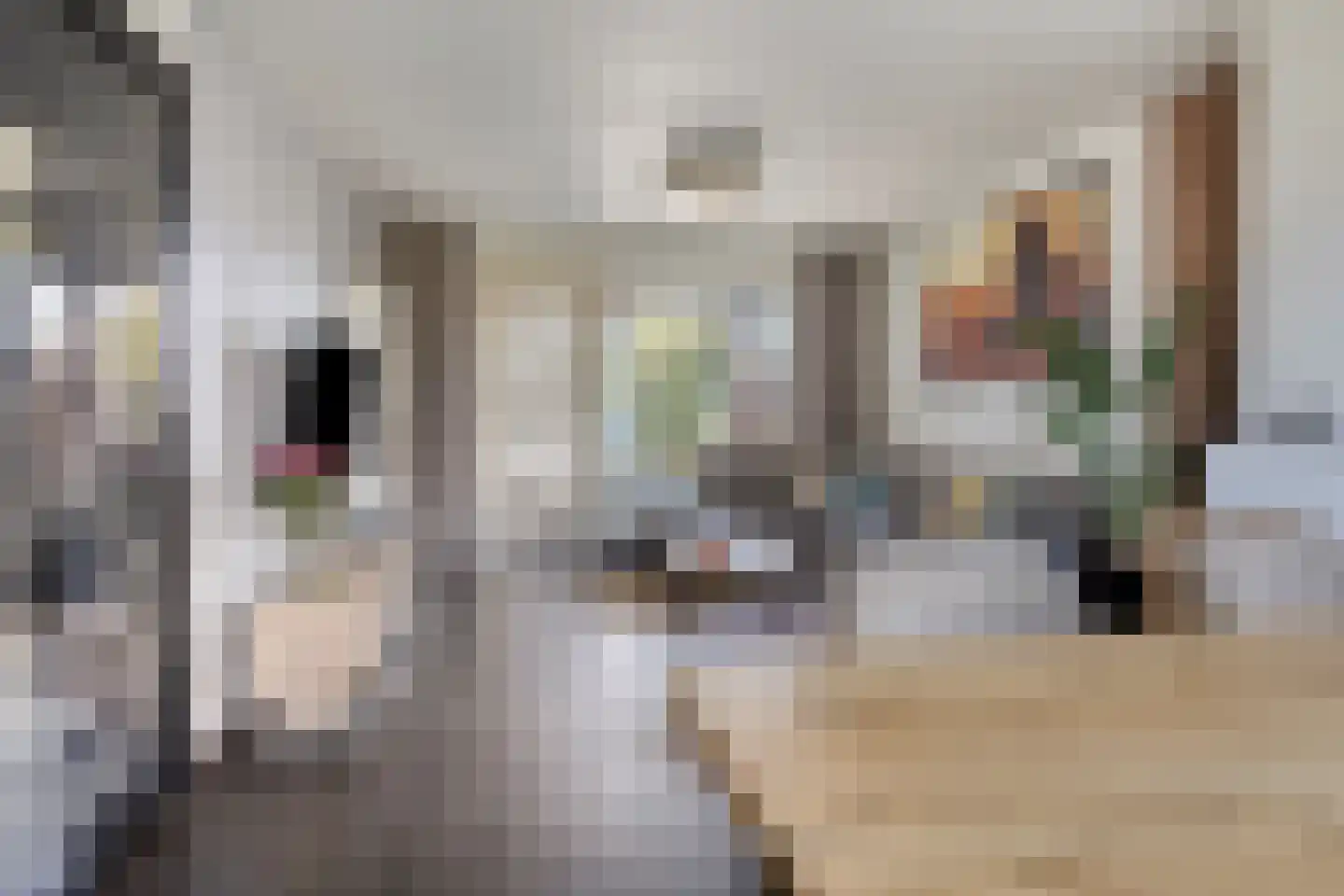 van Berckenrodelaan 4 Waalwijk thumbnail 8