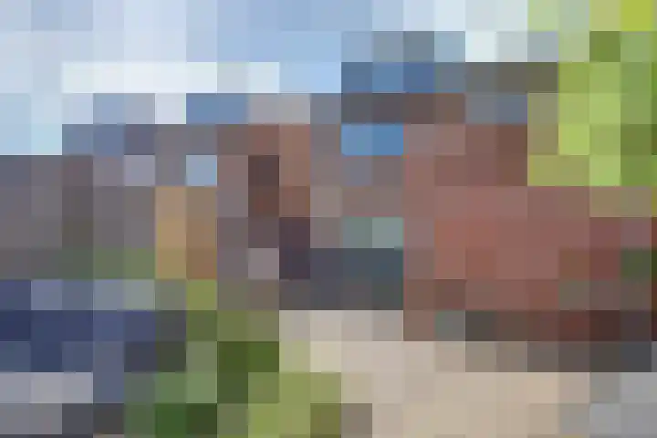 van Berckenrodelaan 88 Waalwijk thumbnail 27
