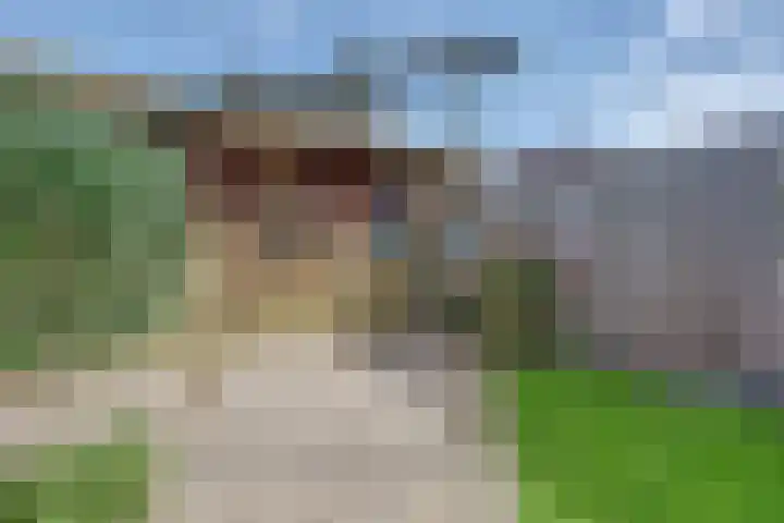 van Berckenrodelaan 88 Waalwijk thumbnail 30