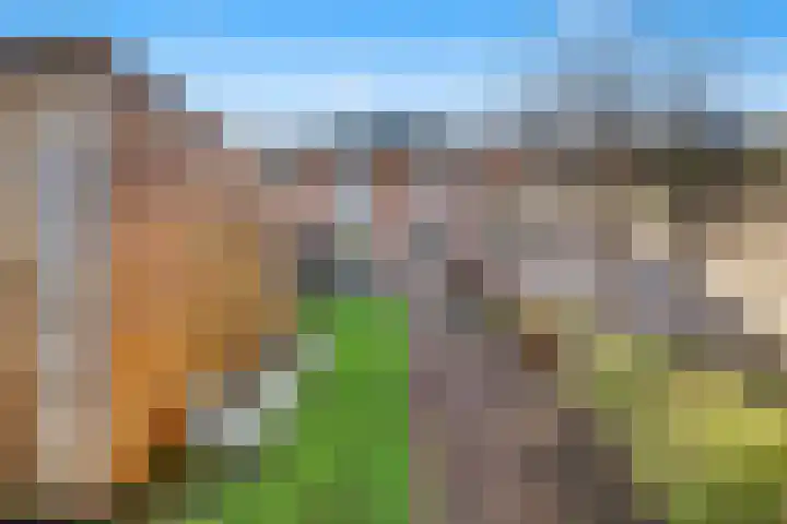 van Berckenrodelaan 92 Waalwijk thumbnail 33
