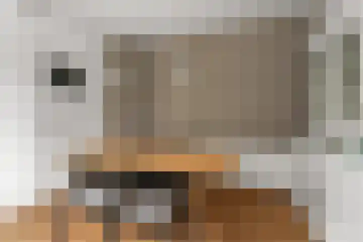 Van Berckstraat 24 Velp thumbnail 17