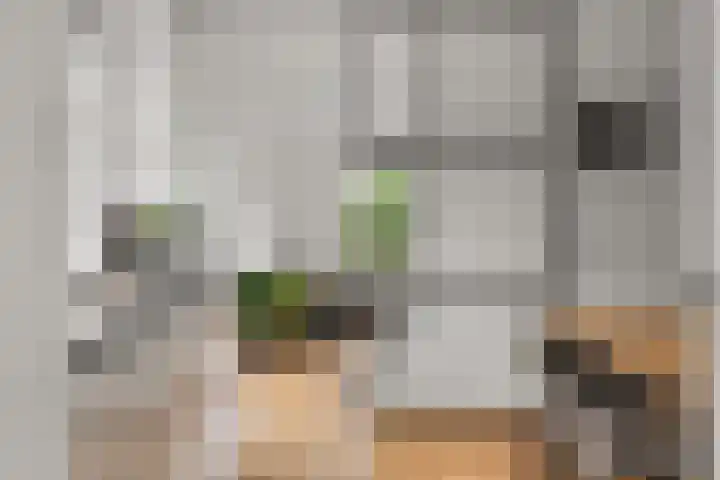 Van Berckstraat 24 Velp thumbnail 19