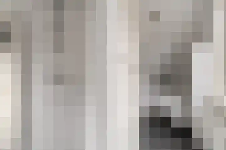 Van Berckstraat 24 Velp thumbnail 25