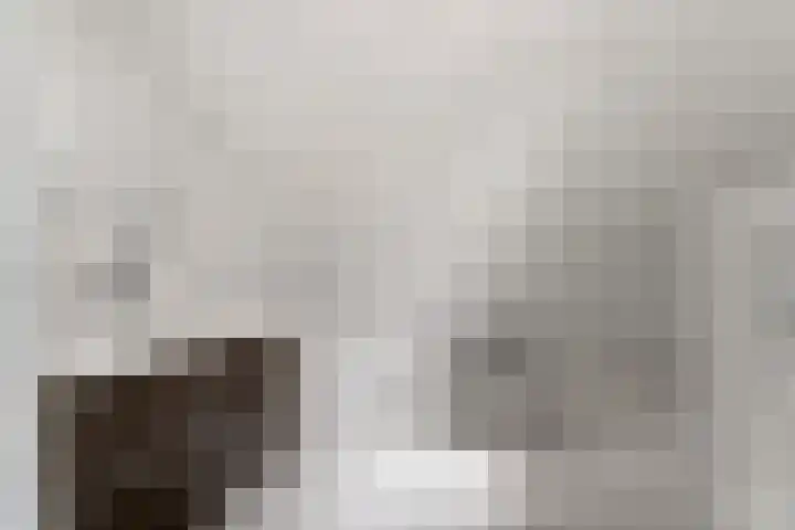 Van Berckstraat 24 Velp thumbnail 27