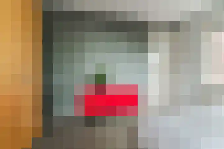 Van Berckstraat 24 Velp thumbnail 29