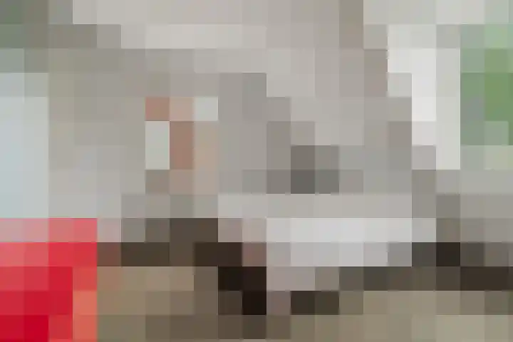 Van Berckstraat 24 Velp thumbnail 30