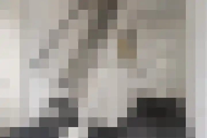 Van Berckstraat 24 Velp thumbnail 31
