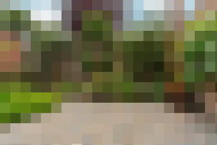 Van Berckstraat 24 Velp thumbnail 32