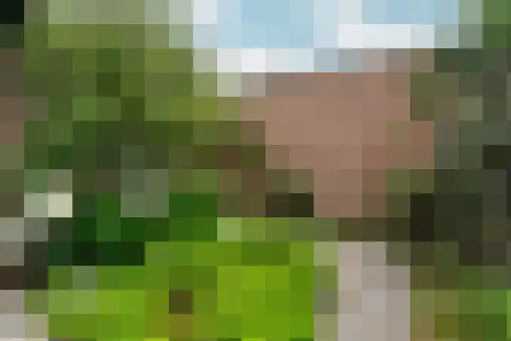 Van Berckstraat 24 Velp thumbnail 34