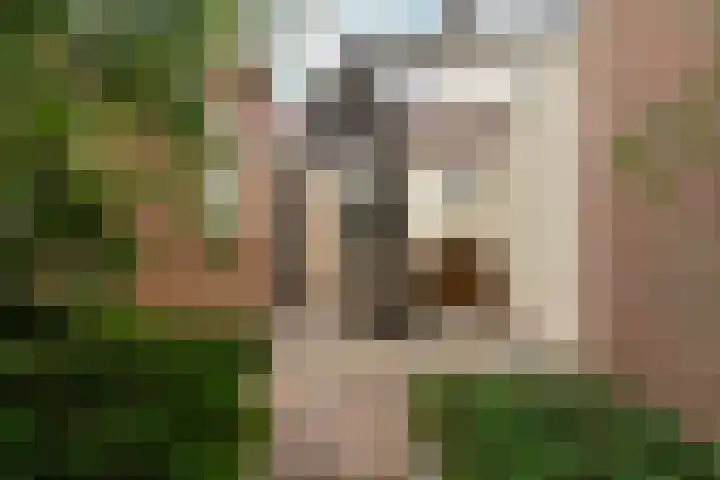 Van Berckstraat 24 Velp thumbnail 35