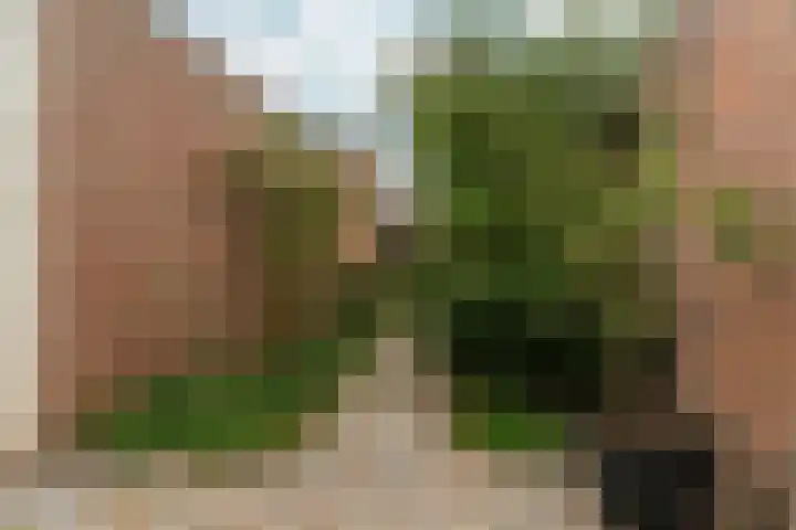 Van Berckstraat 24 Velp thumbnail 36