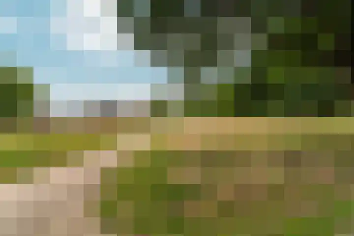 Van Berckstraat 24 Velp thumbnail 38