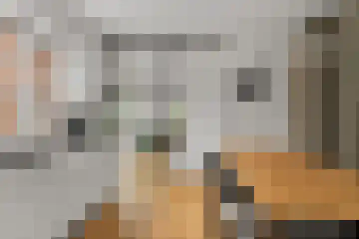 Van Berckstraat 24 Velp thumbnail 4