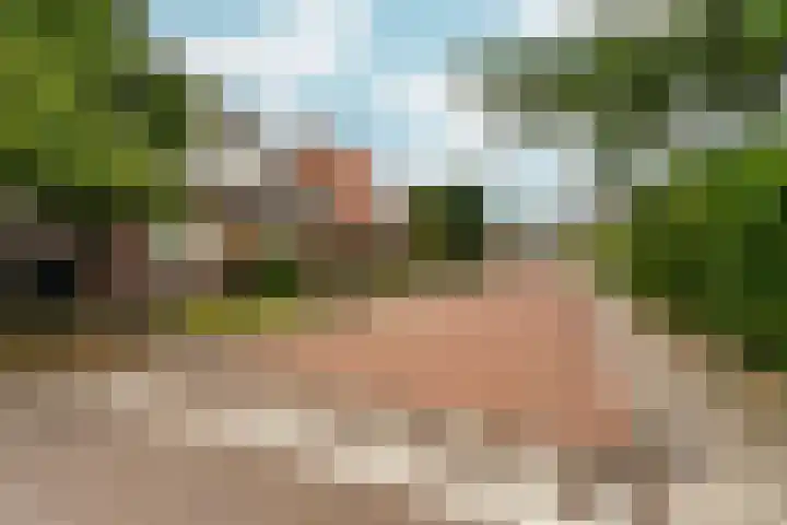 Van Berckstraat 24 Velp thumbnail 6