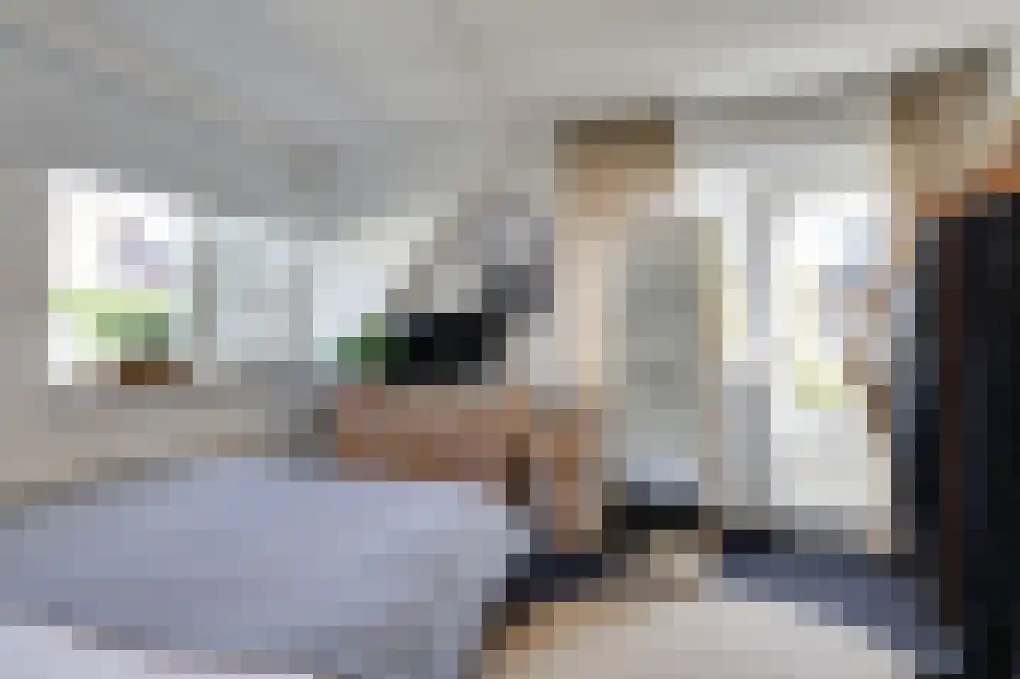 Van Berckstraat 3 Velp thumbnail 12