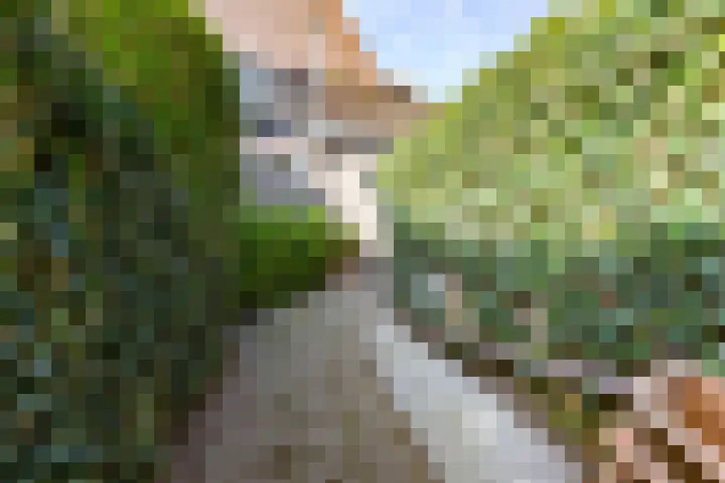 Van Berckstraat 3 Velp thumbnail 21