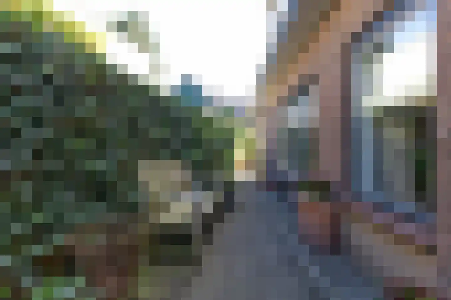 Van Berckstraat 3 Velp thumbnail 22