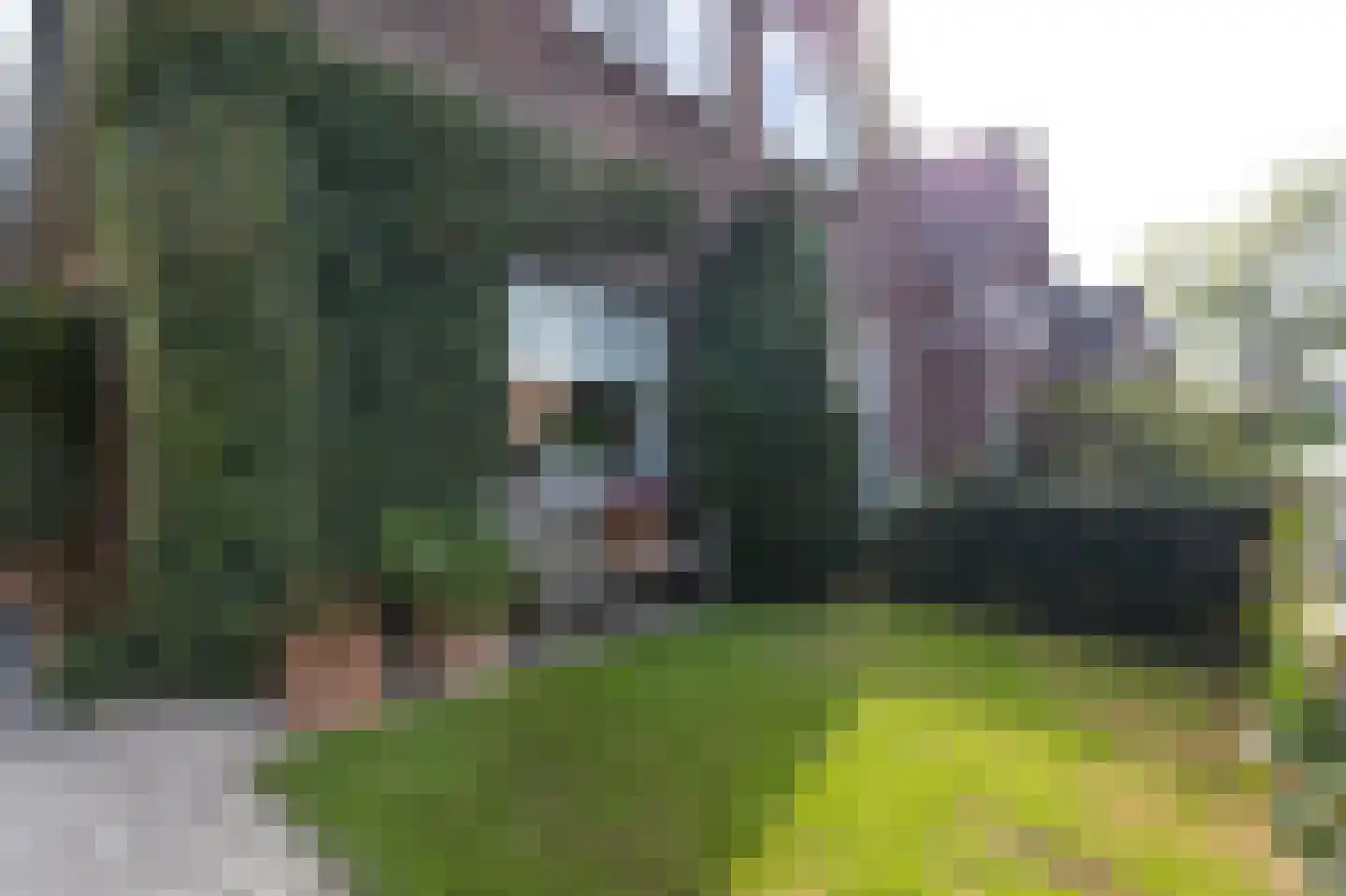 Van Berckstraat 3 Velp thumbnail 24