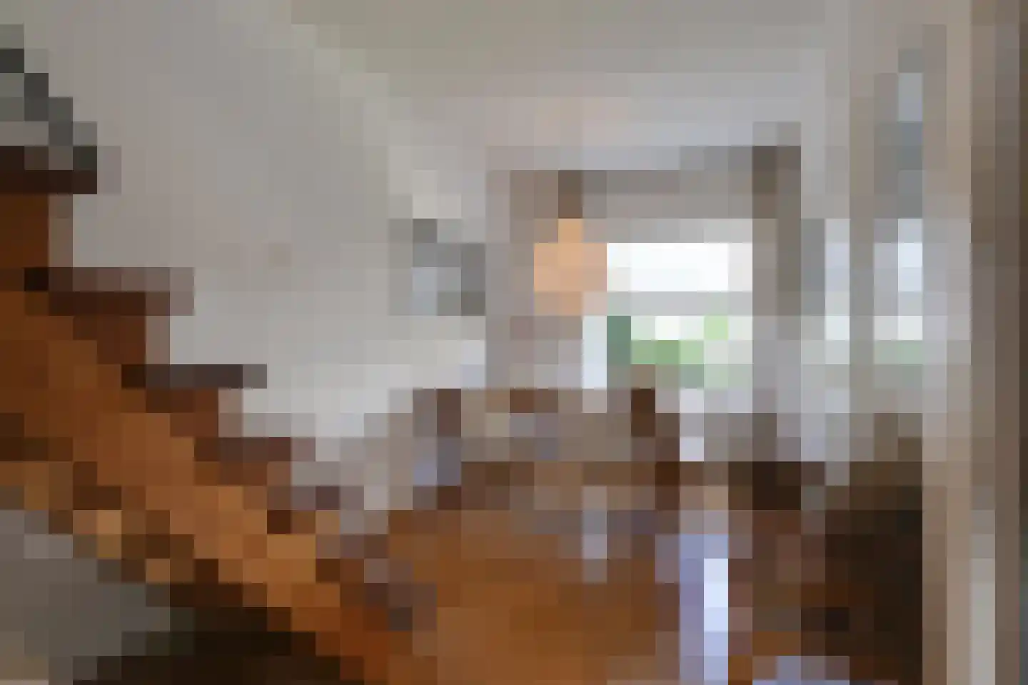 Van Berckstraat 3 Velp thumbnail 4