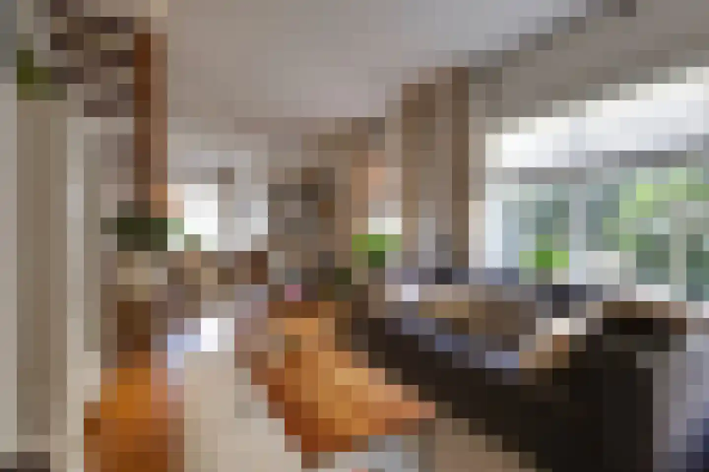 Van Berckstraat 3 Velp thumbnail 5