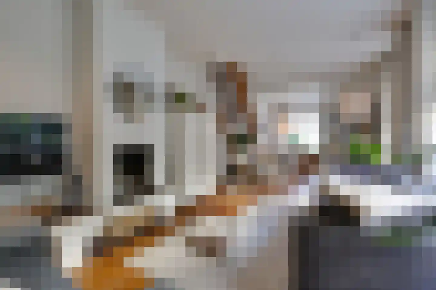Van Berckstraat 3 Velp thumbnail 6