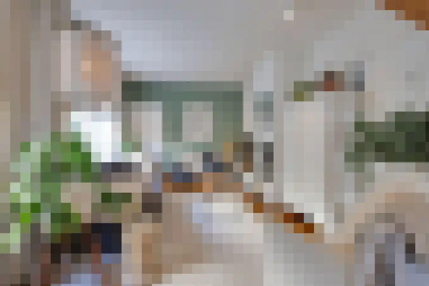 Van Berckstraat 3 Velp thumbnail 7