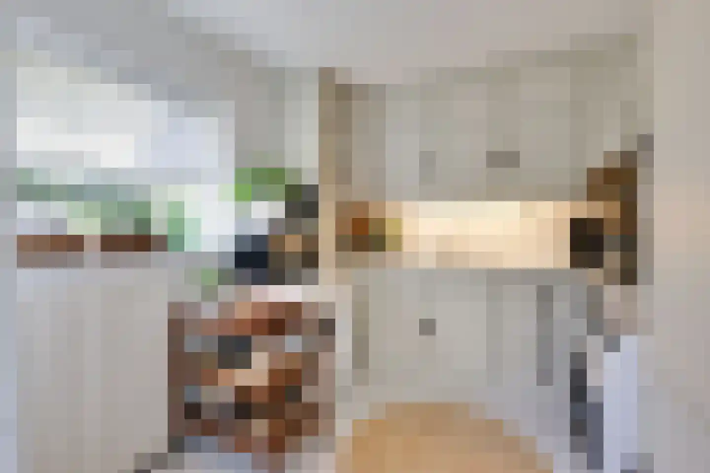 Van Berckstraat 3 Velp thumbnail 9