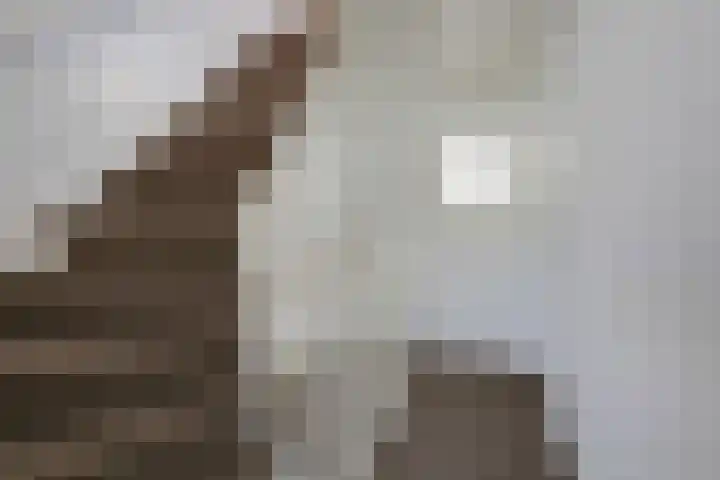 Van Berckstraat 5 Velp thumbnail 19