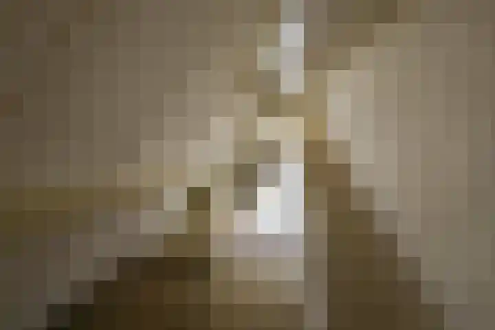 Van Berckstraat 5 Velp thumbnail 20