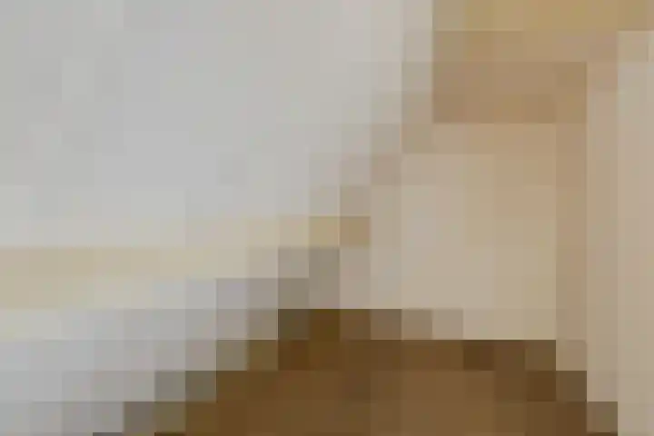 Van Berckstraat 5 Velp thumbnail 21